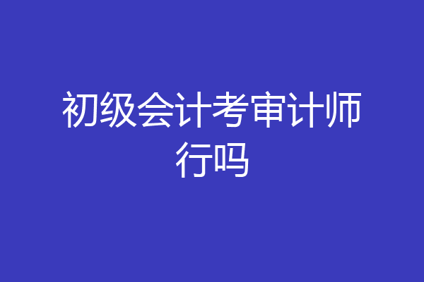 初级会计考审计师行吗