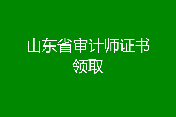 山东省审计师证书领取
