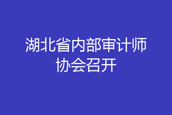 湖北省内部审计师协会召开