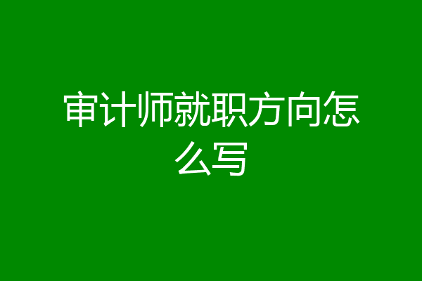审计师就职方向怎么写