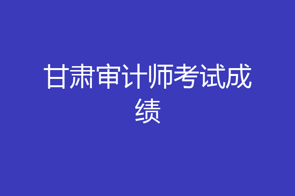 甘肃审计师考试成绩