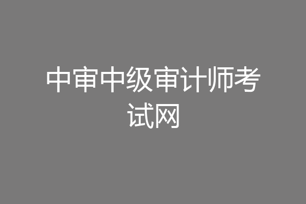 中审中级审计师考试网