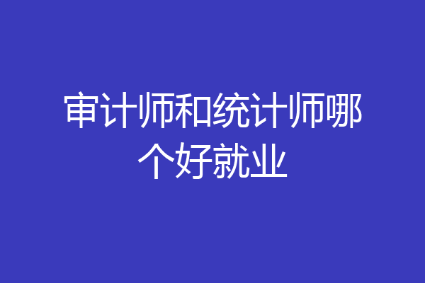 审计师和统计师哪个好就业