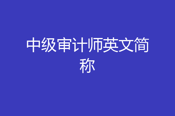 中级审计师英文简称