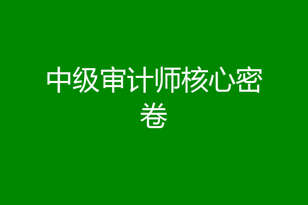 中级审计师核心密卷