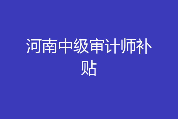 河南中级审计师补贴