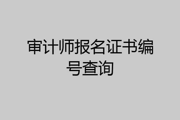 审计师报名证书编号查询
