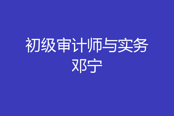 初级审计师与实务邓宁