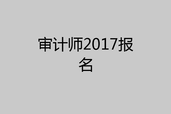 审计师2017报名