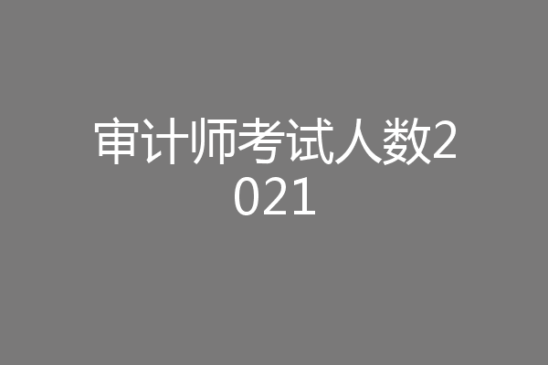 审计师考试人数2021