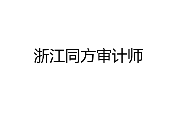 浙江同方审计师