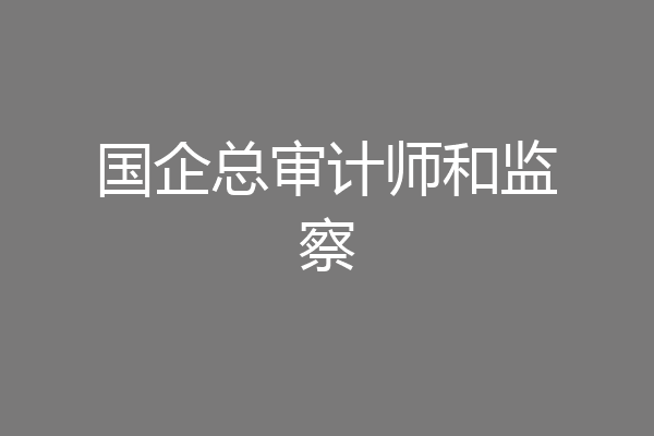 国企总审计师和监察