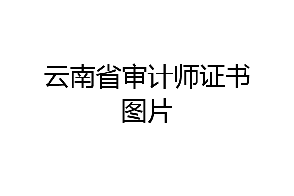 云南省审计师证书图片