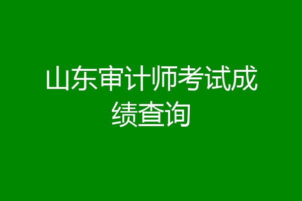 山东审计师考试成绩查询