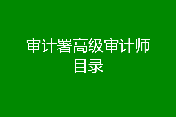 审计署高级审计师目录
