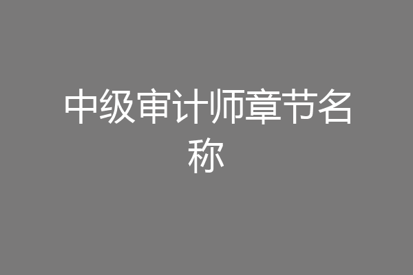 中级审计师章节名称