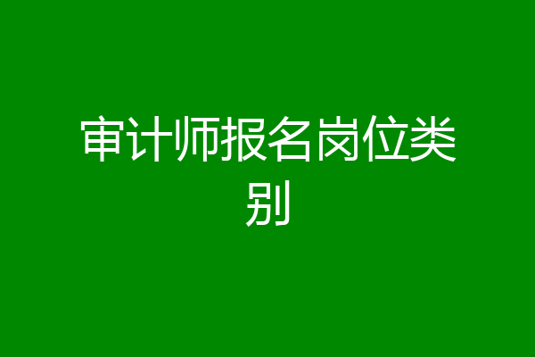 审计师报名岗位类别