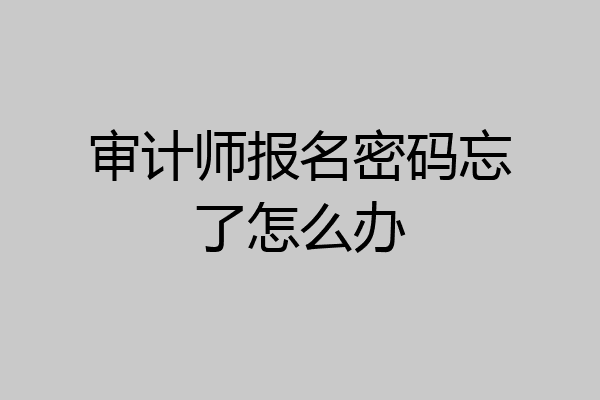 审计师报名密码忘了怎么办