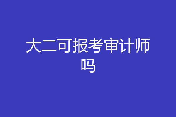 大二可报考审计师吗