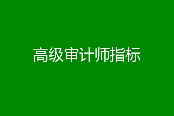 高级审计师指标