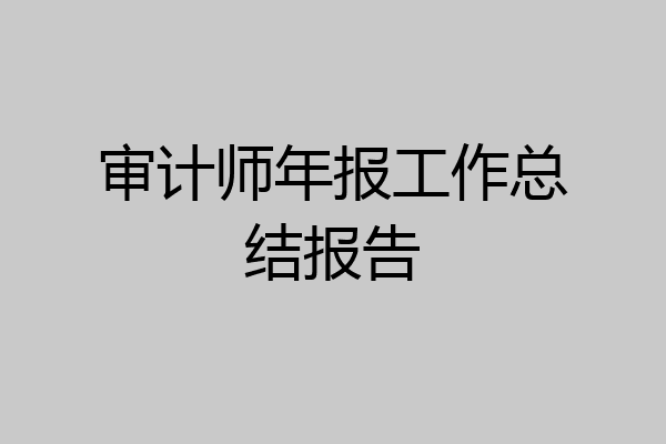 审计师年报工作总结报告