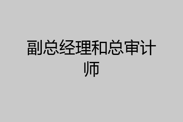 副总经理和总审计师