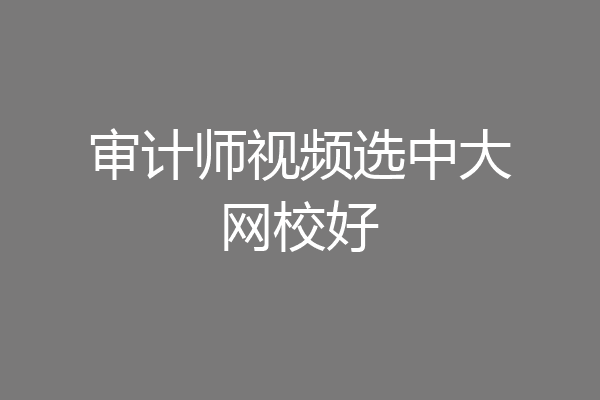 审计师视频选中大网校好
