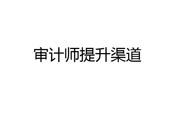 审计师提升渠道