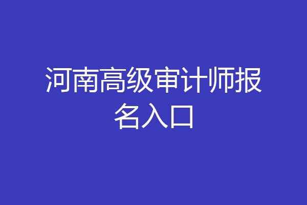 河南高级审计师报名入口