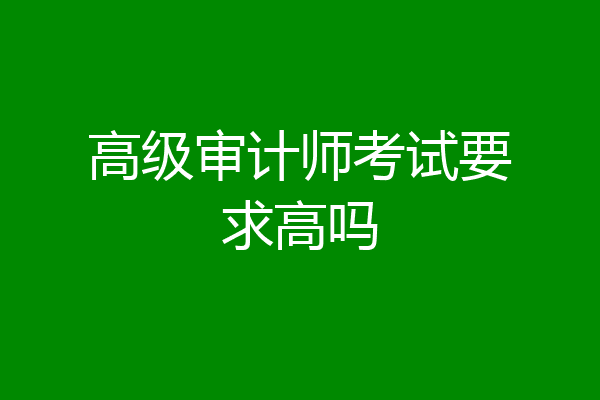 高级审计师考试要求高吗
