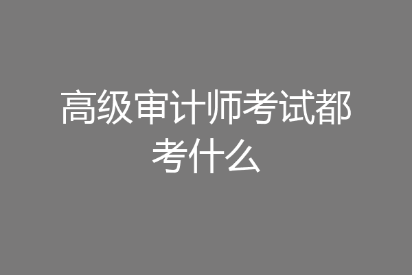 高级审计师考试都考什么