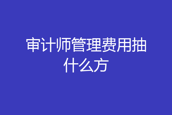 审计师管理费用抽什么方