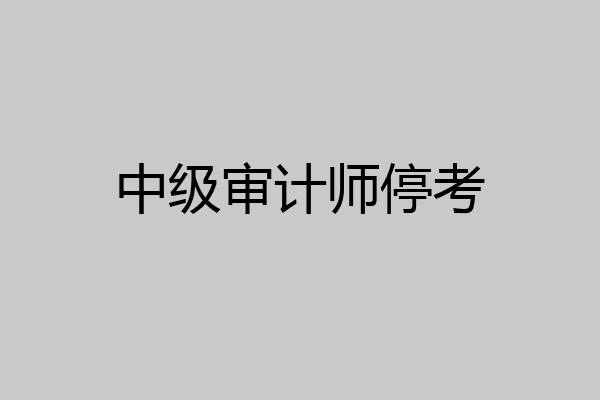 中级审计师停考
