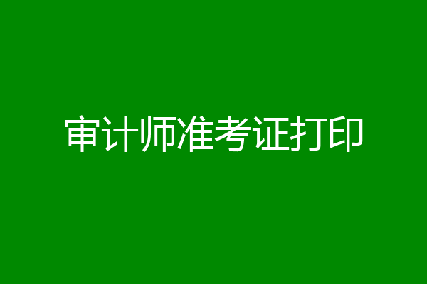 审计师准考证打印