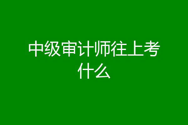 中级审计师往上考什么
