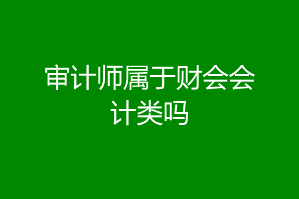 审计师属于财会会计类吗