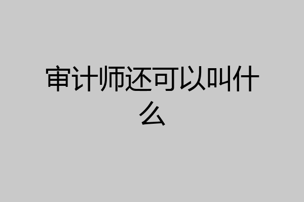 审计师还可以叫什么