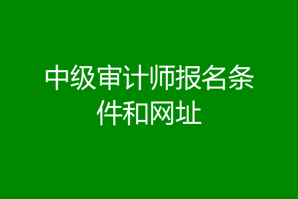 中级审计师报名条件和网址