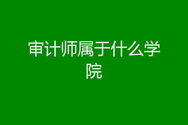 审计师属于什么学院