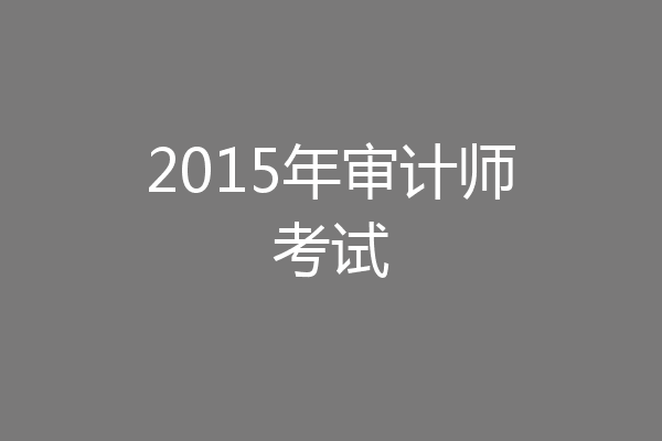 2015年审计师考试