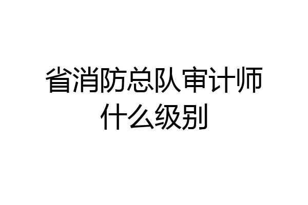 省消防总队审计师什么级别
