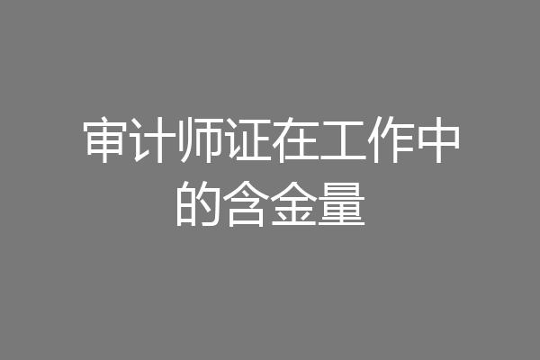审计师证在工作中的含金量