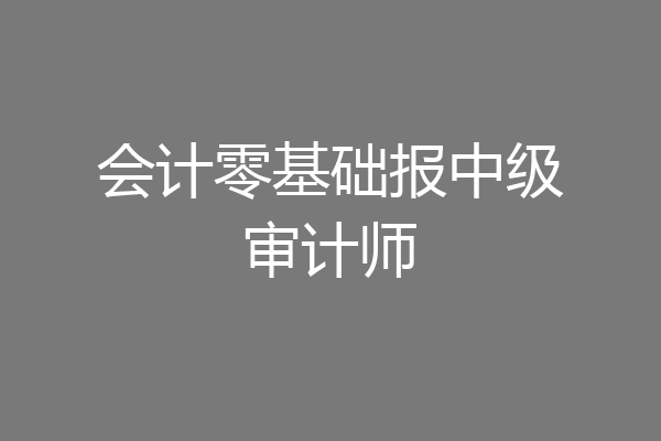 会计零基础报中级审计师
