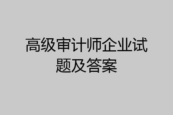 高级审计师企业试题及答案