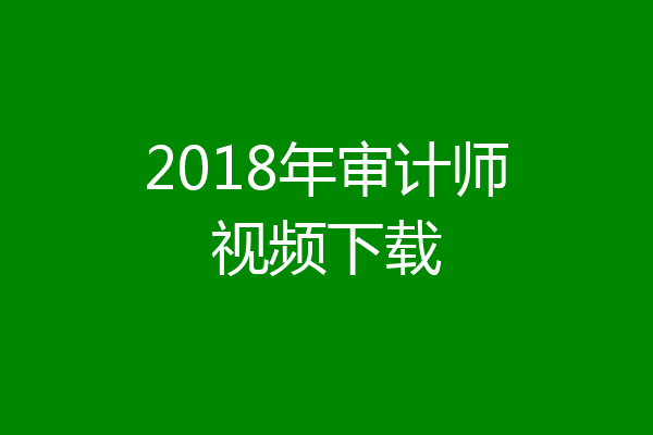 2018年审计师视频下载