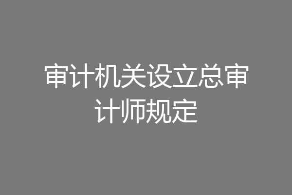 审计机关设立总审计师规定