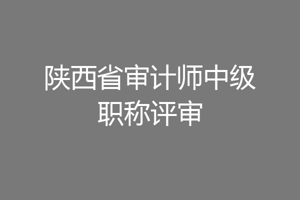 陕西省审计师中级职称评审
