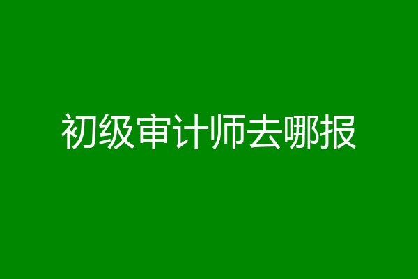 初级审计师去哪报