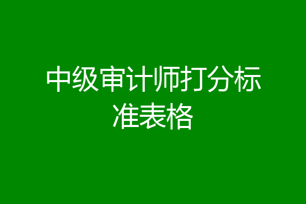 中级审计师打分标准表格