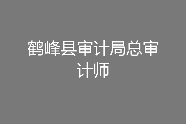 鹤峰县审计局总审计师
